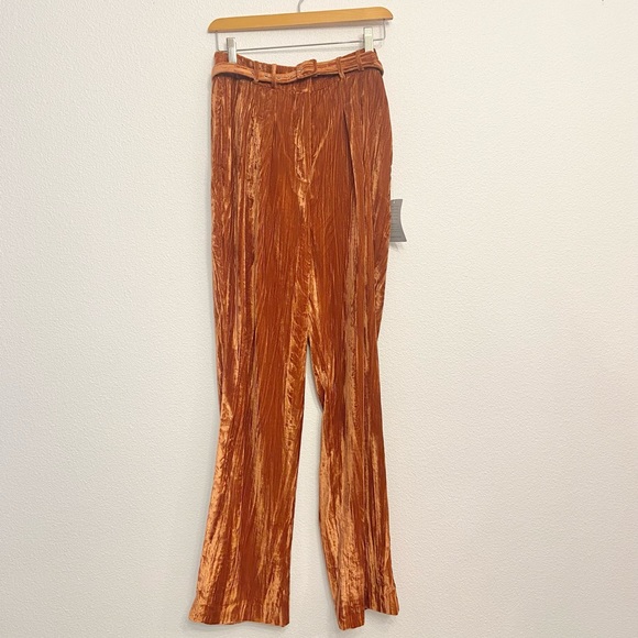WAYF Velvet High-Waisted pant rust colored Trouser Pant XS - Picture 7 of 16
